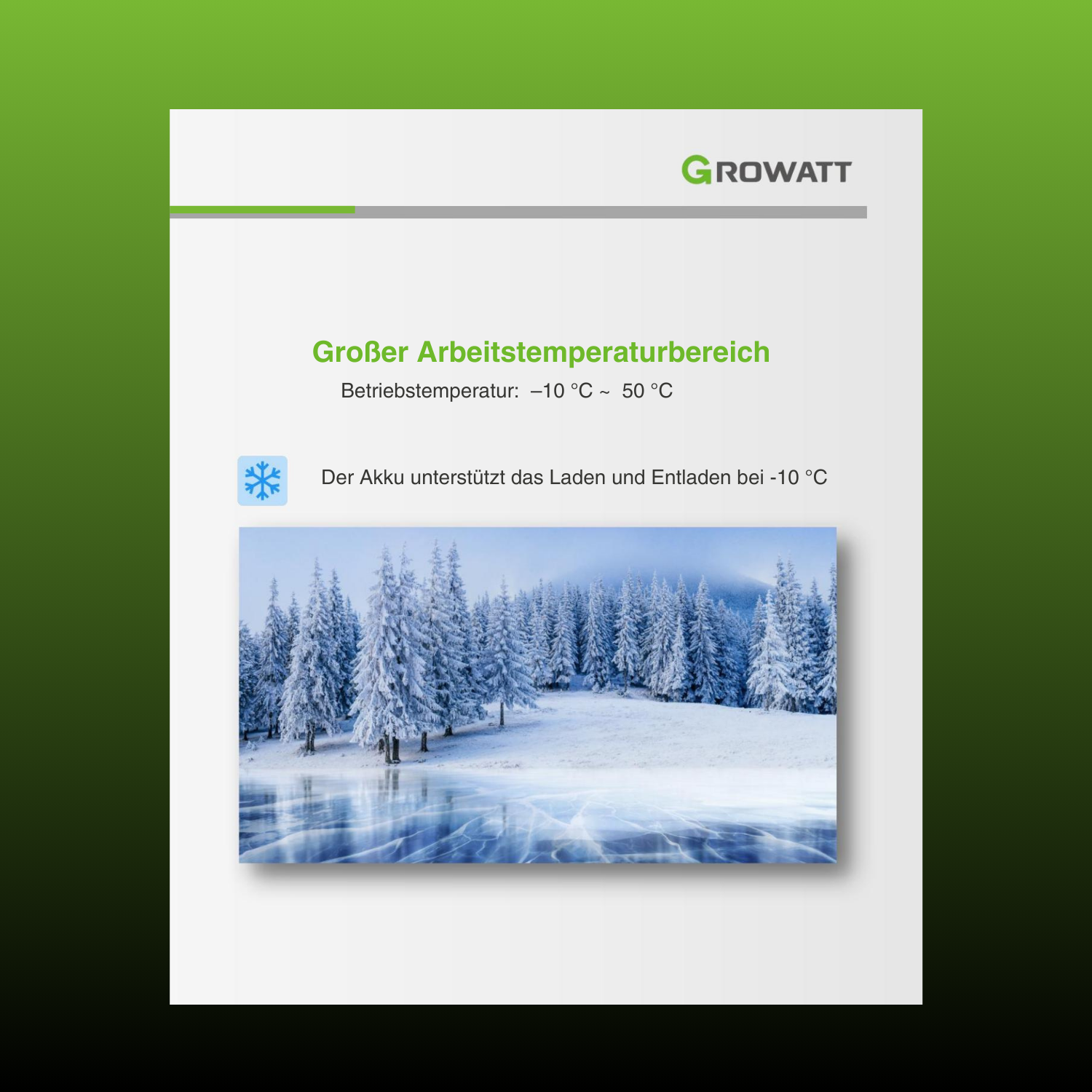 Pflanze, Baum, Datei, Webseite