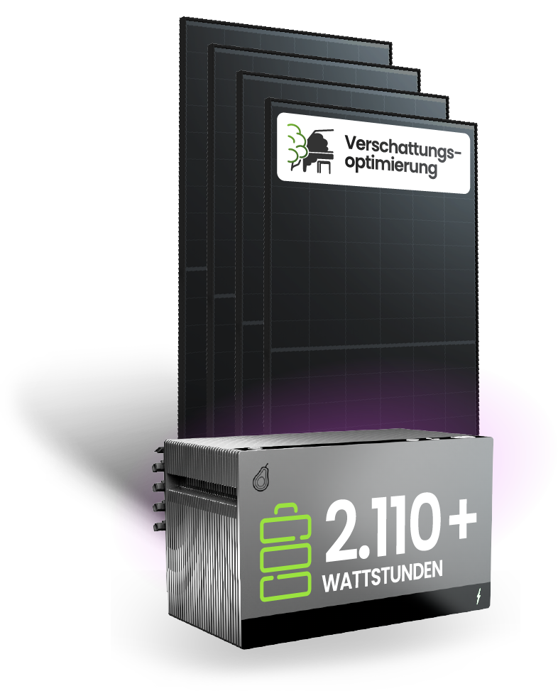 BKW 4 Module mit Avocado 22 Pro