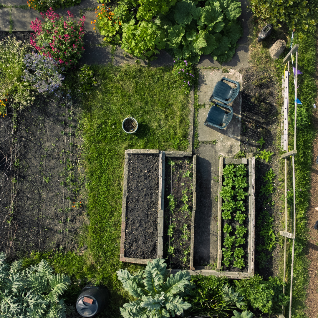 Garten, Natur, Draußen, Boden, Gartenarbeit