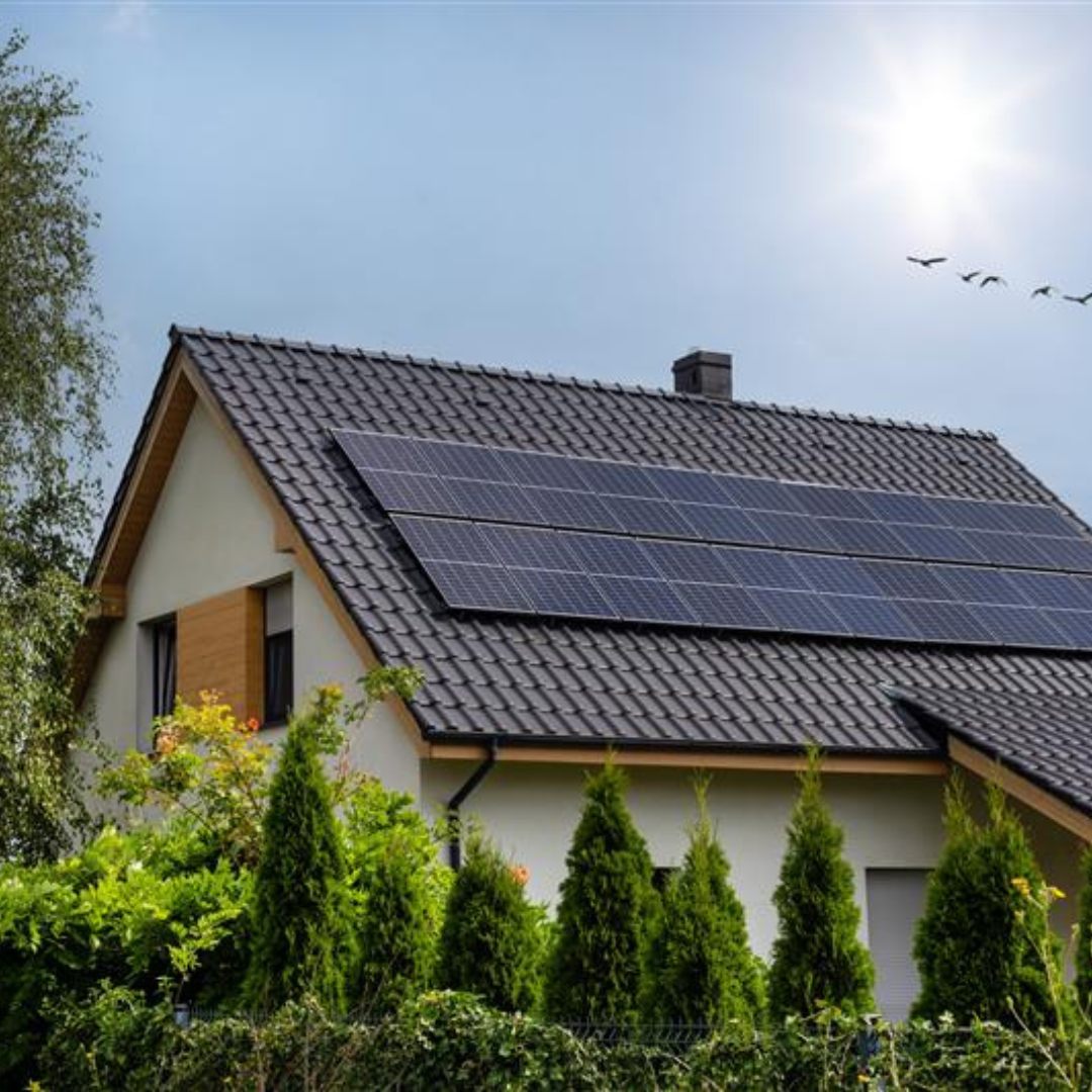 Draußen, Elektrisches Gerät, Sonnenkollektoren