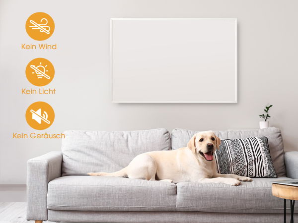 Couch, Hund, Labrador Retriever, Kissen, Weißes Brett