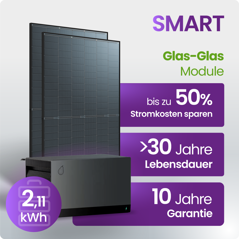 Solarmodul, Glas-Glas, PV-Modul, Solarpanel, 2,1 kWh