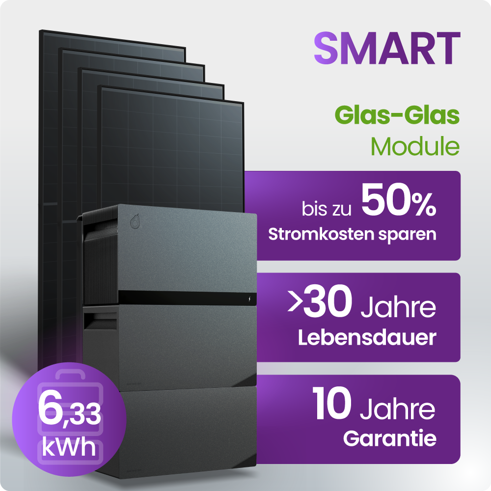 Solarmodule, Glas-Glas Modul, PV-Modul, Stromspeicher, Solar-Batterie
