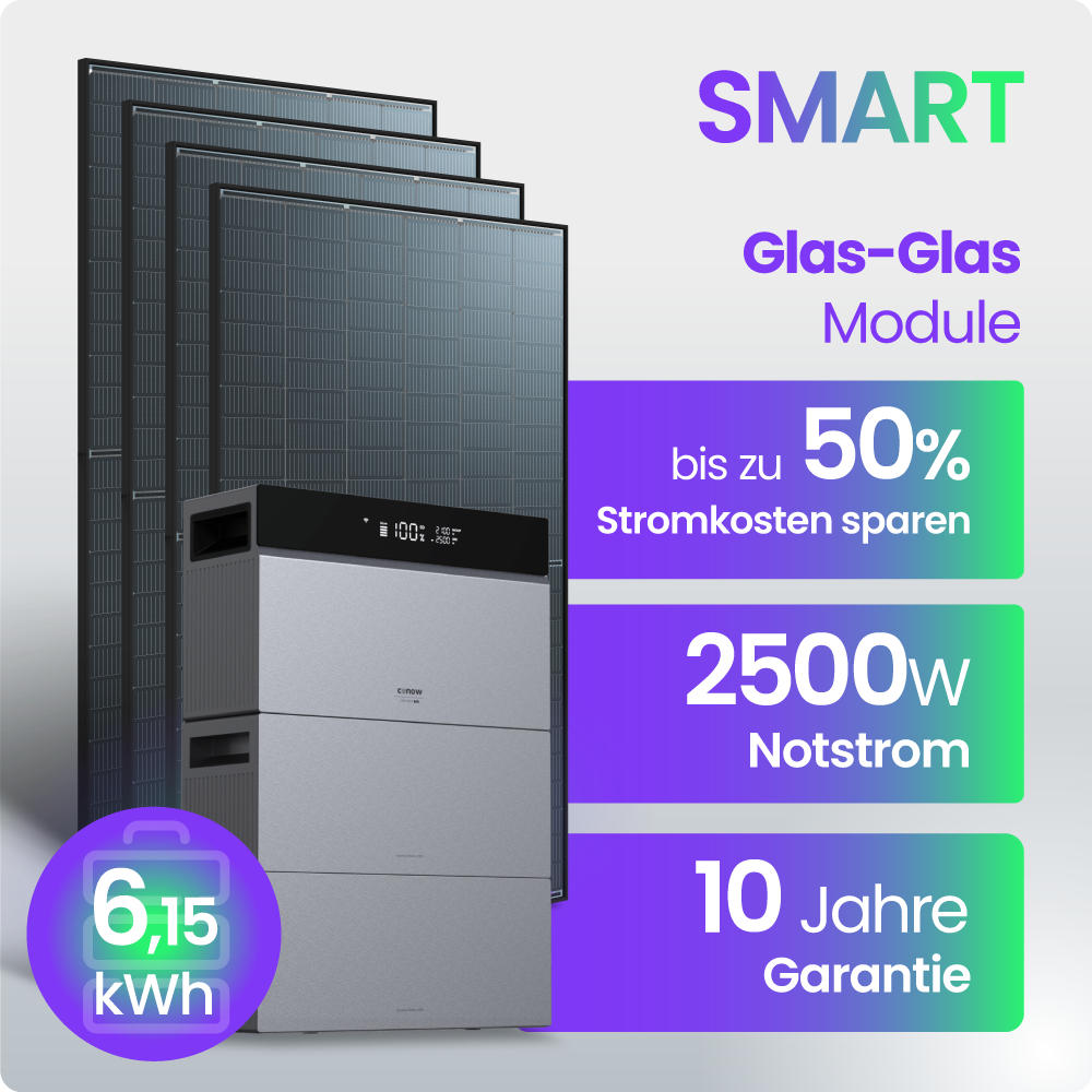Solarmodul, Glas-Glas, Speicherwechselrichter, Notstrom, 10 Jahre Garantie