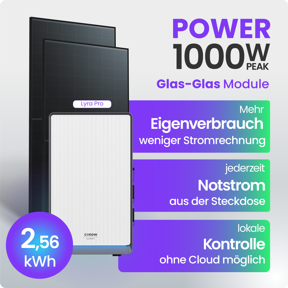 Solarmodul, Glas-Glas Modul, Power 1000W, Speicherakku, Notstrom
