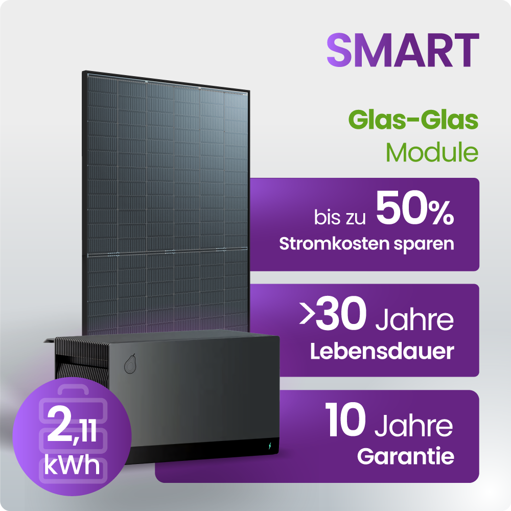 Solarmodul, Glas-Glas, Modul, PV-Modul, Kernleistung 2,1 kWh