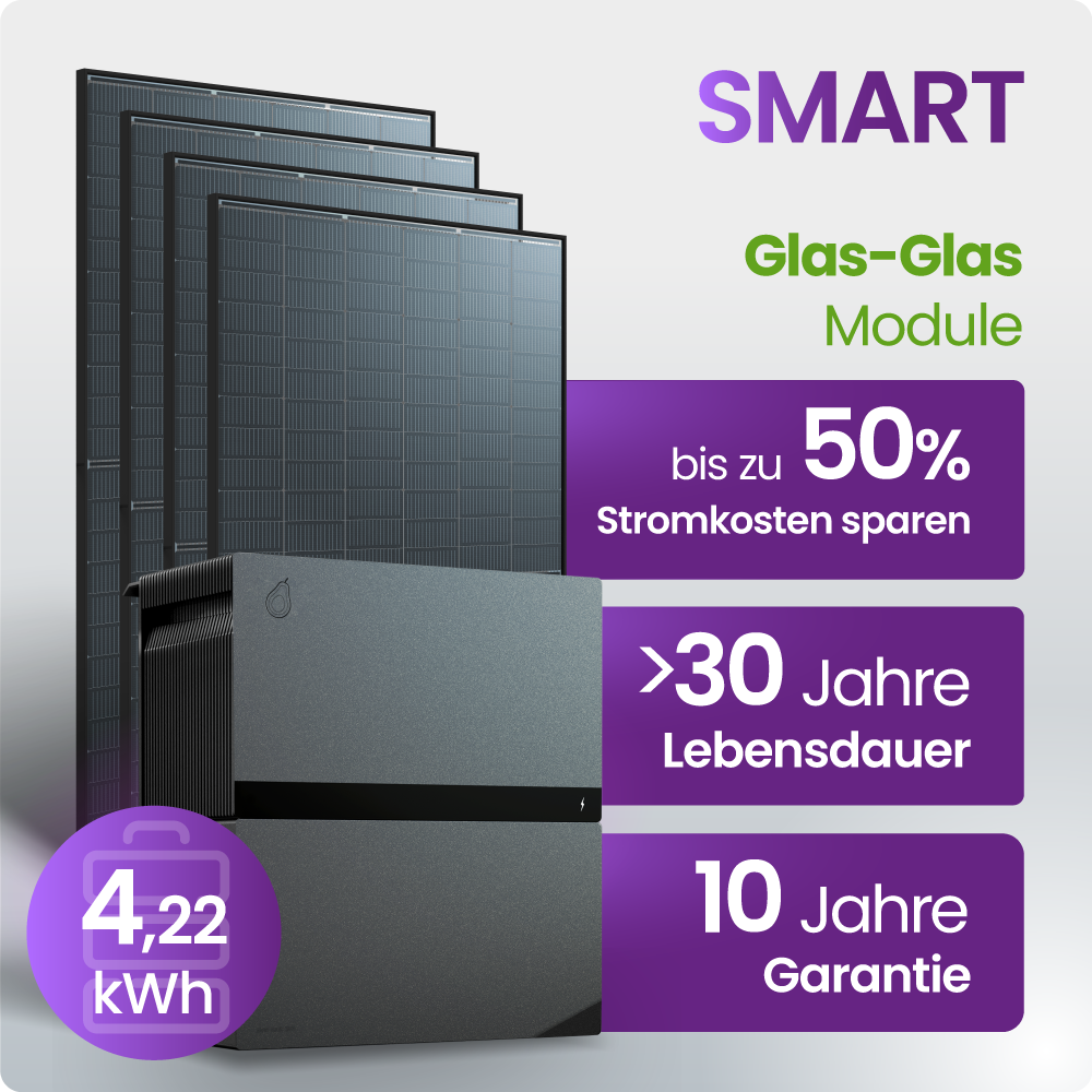 Solarmodul, Polymermodul, Glas-Glas, Stromspeicher, Kosteneinsparung