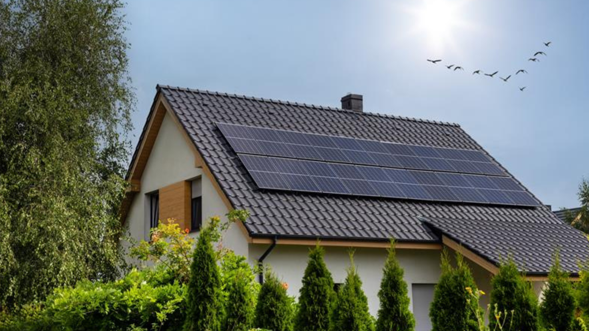 Draußen, Elektrisches Gerät, Sonnenkollektoren